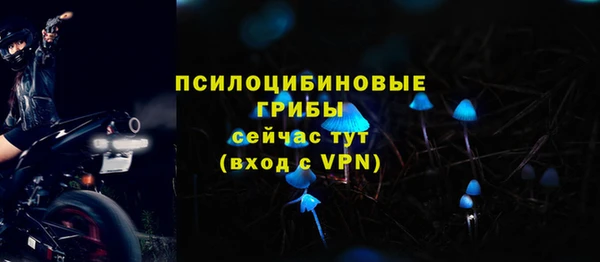 дмт Аркадак