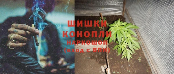 дмт Аркадак