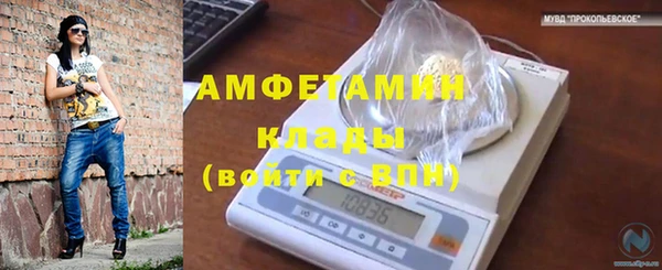 сатива Армянск