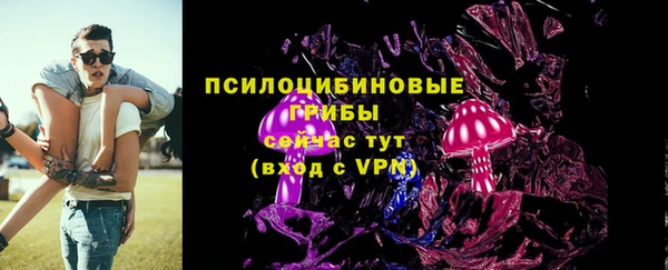 дмт Аркадак